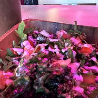 Mexica bowl  at House of Mexica in Reno