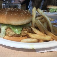 The crispy chicken patty with regular fries at House of Mexica in Reno