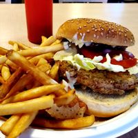 Chicken burger at House of Mexica in Reno