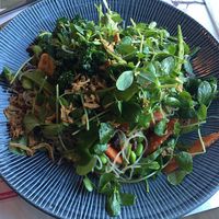 Vegan Glass Noodle Salad at Wagamama - Fort Shopping Park in Glasgow