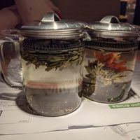 Ginger and lemon tea, and jasmine flowering tea at Wagamama - St Peters Square in Manchester