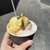 Mango and melon to go  at Eiscafe Dolomiti in Konstanz