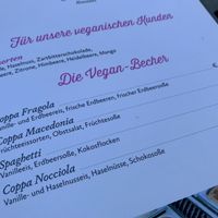 not valid menu (no vegan vanilla) at Eiscafe Dolomiti in Konstanz