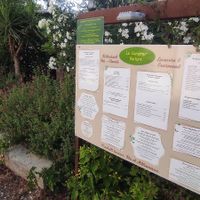  at Le Comptoir Nature in Le Somail
