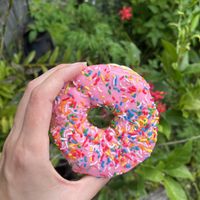   at Grumpy Donuts in Camperdown