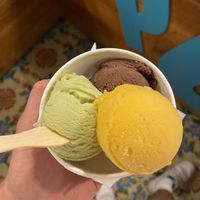 Nice vegan sorbet  #Veganuary at Pola Gelato Shop in Merida