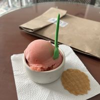 Fresa con limón (the cookie is not vegan!)  at Pola Gelato Shop in Merida