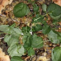 Mushroom  pizza w Vegan cheese! Generous sized! at The Fermentist in Christchurch