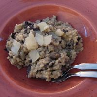 Amazing vegetarian Risotto at Hotel Aiguaclara in Begur