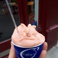 Single scoop of watermelon sorbet in a cup at Oddono's in West London