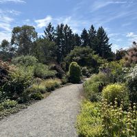   at Charlotte & The Quail in Victoria