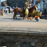  at Pod Café Portreath in Portreath