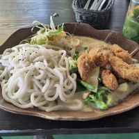 V14 with Udon instead of rice and fried mock duck at Nammi in Berlin