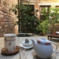Selection of teas and soya milk  at Tea Room Beatrice in Venice