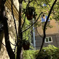   at co Jak co in Poznan