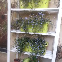 Flower pots in the garden at co Jak co in Poznan