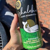 Hard Kombucha  at Carmel Belle in Carmel-by-the-sea