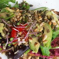 Broodje avocado at Leut in Oost-vlieland