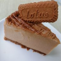  at Bents Garden and Home in Warrington