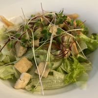 Grilled tofu salad  at NUGA Rosmead in Colombo