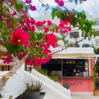 Sooo dreamy at Hambrë  in Ibiza