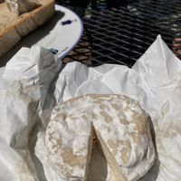 Vegan cheese!  at Sugar Blues by Ha-tha Maya in Florence