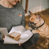 Vegan sandwiches! at STOR in Warsaw