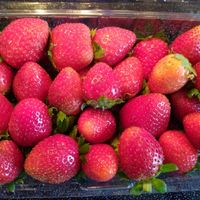 Local strawberries at Food and Thought in Naples