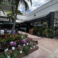   at Food and Thought in Naples