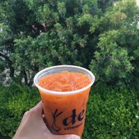                 Thai tea
♡ just ask to make vegan ♡
                    $5.50 at Delish in Temecula