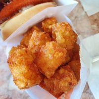 Tots at Next Level Burger - Potrero Hill in San Francisco