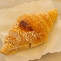 croissant with apricot filling at Antico Caffe Scaletto in Bologna