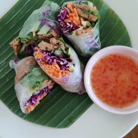 Rice paper rolls at Give Cafe in Canggu