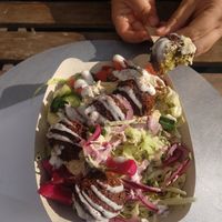 Box of classic falafel. It was amazing!!! at Garbanzo - Falafel & Hummus Bar in Vienna