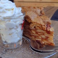 Apple cake with whipped cream (and two forks) at Het Slachthuis in Leiden