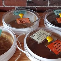  at Herb and Spice in Ottawa