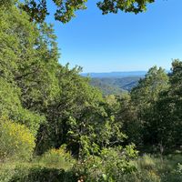 View from our room "Fleur de vie" at Abriecosy Ecolodge in Bargemon