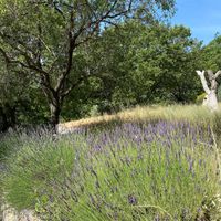 From the parking lot to our room "Fleur de vie" at Abriecosy Ecolodge in Bargemon