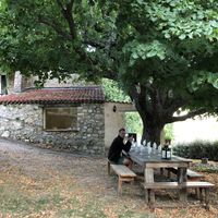 Dinner under the beautiful tree at Abriecosy Ecolodge in Bargemon