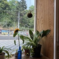   at The Conductor in Prague