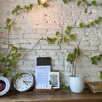   at The Conductor in Prague