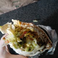 Burrito with new pulled mushroom filling at Zambrero in Hamilton