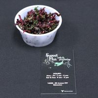 Beet salad 😋 i love this and i don’t even like beets!! at Sweet Pea Cafe & Playhouse in Edmonton