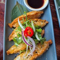 Potstickers $14.00: delish mushroom and veg, delish chilli soy sauce (not spicy) at Yulli's Brews in Alexandria