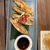 Pot stickers   at Yulli's Brews in Alexandria