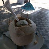 coconut cut and opened to perfection at The Vegan House in Hollywood