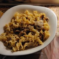 Campanelle Crema di Funghi (vegan) at Vapiano in Linz