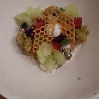 at Cafe Animo in Ulm