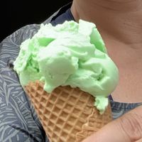   at Eislust in Gottingen