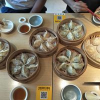 A whole lot of dumplings. at Dancing Dumplings 舞蔬尚饺 - Wǔ Shū Shàng Jiǎo - temporarily closed in Shanghai